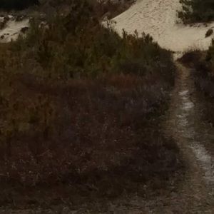 Meet your Posher, Dalton bircher